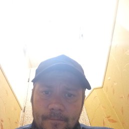 , 37 , 