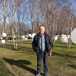 ��������, 46 ���, ���������