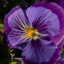 ���� �����, �������, 46 ��� - ��������� 2 ���� 2024