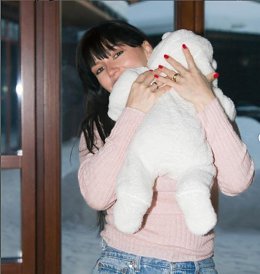 �����������