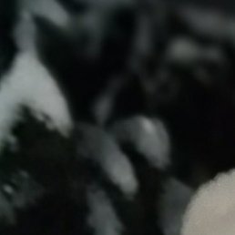 �����, ����, 64 ����