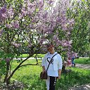 ���� ������, �����, 52 ���� - ��������� 7 ����� 2025