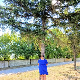 udochia, 61, 