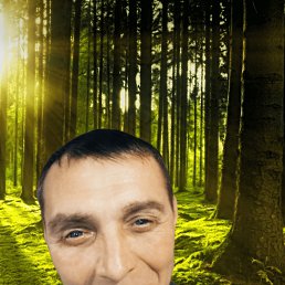 , 53 , 