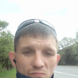 , 40, 