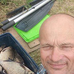 �����, ���������, 54 ����