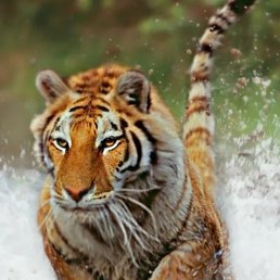 ���� ������, ������, 49 ��� - ��������� 21 ������ 2024