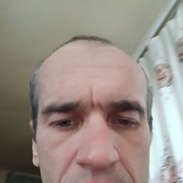����, 41 ���, �����
