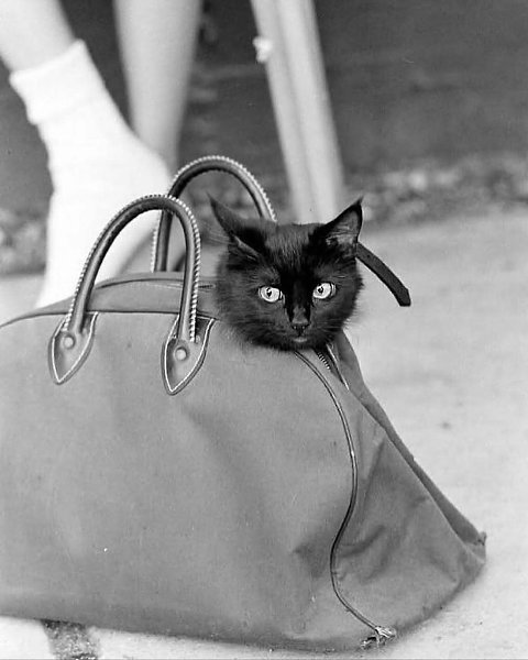  1961           .  150  ... - 3