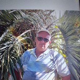 , 61 , 