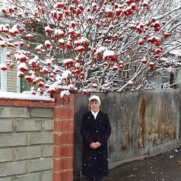 ���� ����, �������, 62 ���� - ��������� 28 ������ 2025