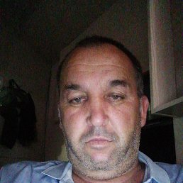 , 41, 