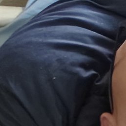 ����, ������, 39 ���