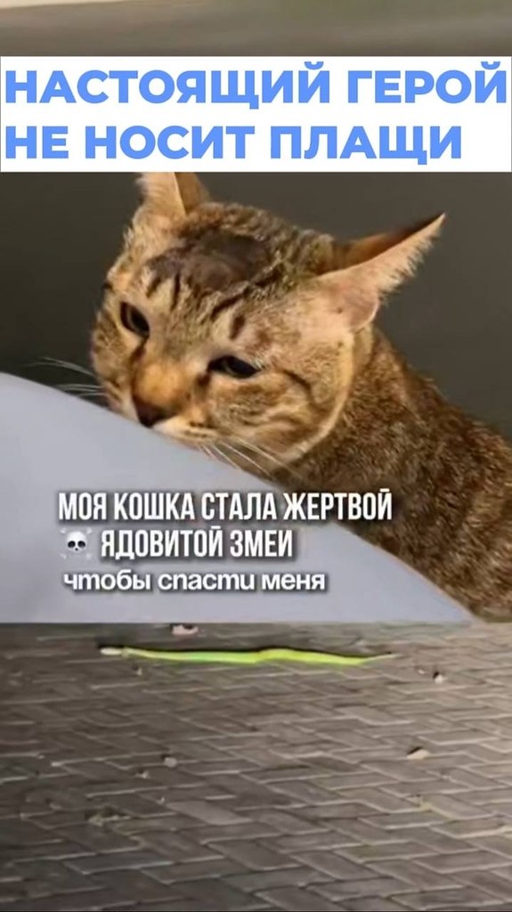 ����� �������� ����� �� ������� ���� �� ���� � ������ �������� ����� ���� �� ����. ����� �� ...