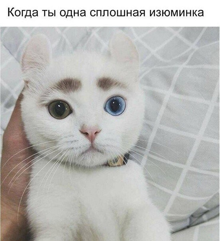 ? ,  ! - 25  2025  08:41