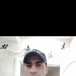 , 44, 