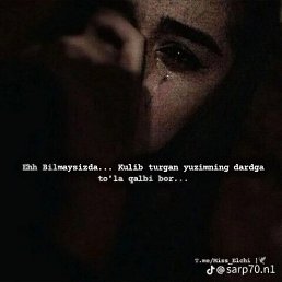 Noziya, �����������, 28 ���