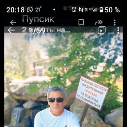 , 54 , 