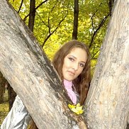 ������, 33 ����, �����������