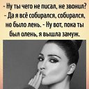 ���� ����, �����, 44 ���� - ��������� 24 ������ 2024 � ������ ���� ����������