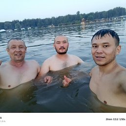 , 41, 