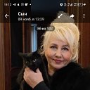 ���� ������, ������ ��������, 54 ���� - ��������� 14 ������ 2025 � ������ ���� ����������