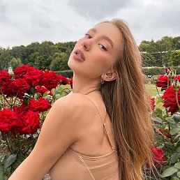 ����, �������, 29 ���