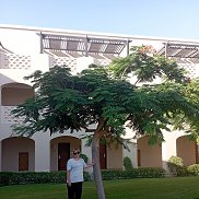 ���������, 37 ���, �������