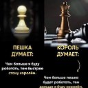 ���� ����, ��������� - ��������� 29 ���� 2024 � ������ ������ ��������