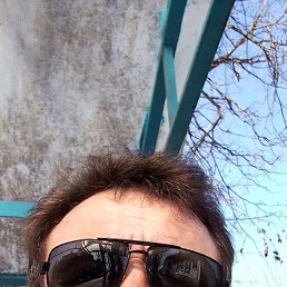 ������, 49 ���, �����