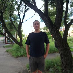 , 53 , 