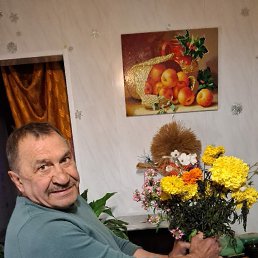 ��������, 61 ���, ������