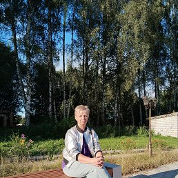, 52, 
