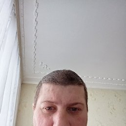 ������� ������������, ���, 41 ���