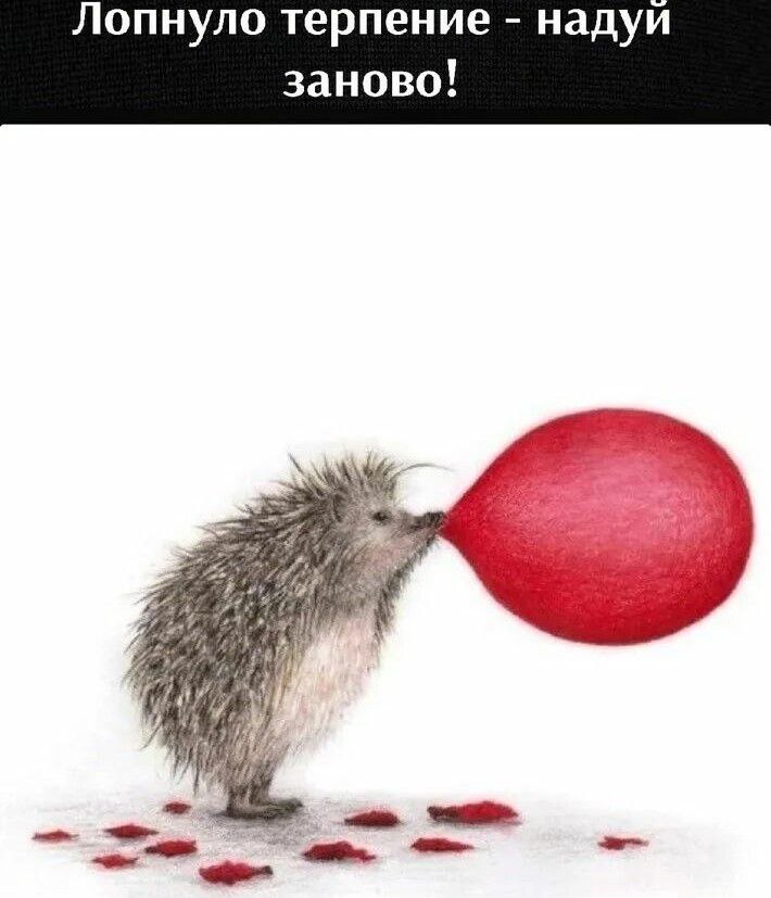   - 23  2025  11:39