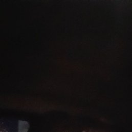 ������, �����, 41 ���