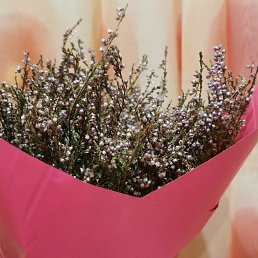 ���� ��������, �����, 60 ��� - ��������� 29 ������� 2024