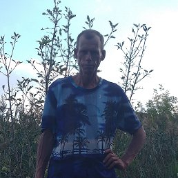 ��������, 46 ���, ������