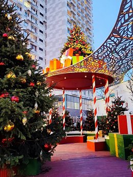 �����������