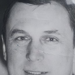 , 61, 