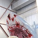 ���� ������ Cccp, ������, 57 ��� - ��������� 28 ���� 2026 � ������ ������ ��������