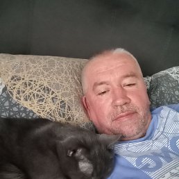 , 50 , 