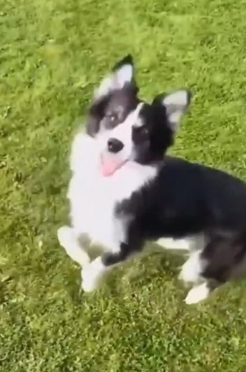 ����� �� ������������ ��� ��� ��� ��������! - 2