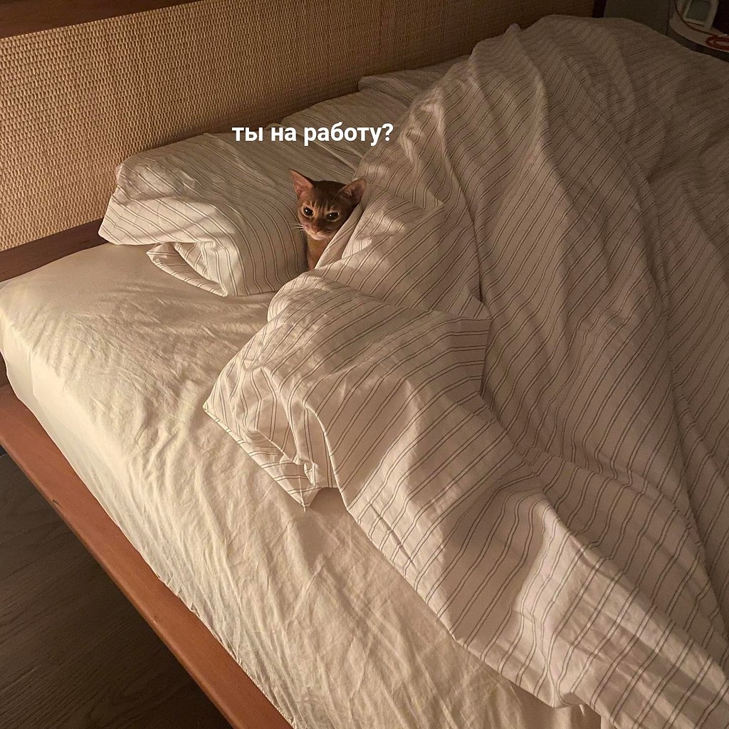 ,  ,       