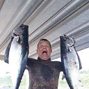 ���� ������, ������ ��������, 61 ��� - ��������� 28 ������� 2023 � ������ ���� ����������