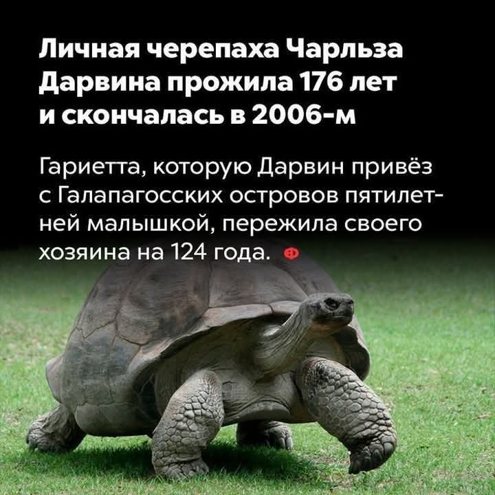 :)