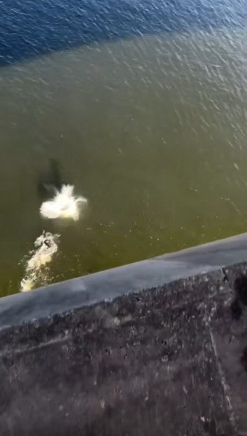 ���������� ������ �������� ������!