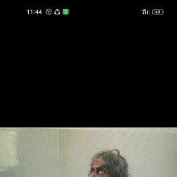 ���� ������, ������, 49 ��� - ��������� 17 ������ 2023