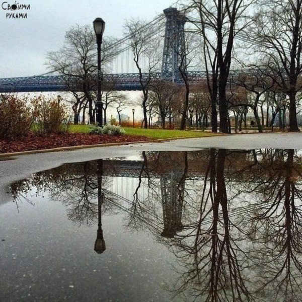 Фото - два в одном. Попробуй переверни его.