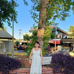 ���� ��������, ���������, 54 ���� - ��������� 4 ������ 2025